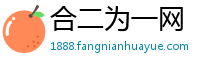 合二为一网